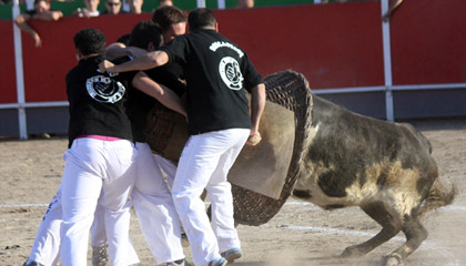 Festejos taurinos. Fuentes de Ebro,